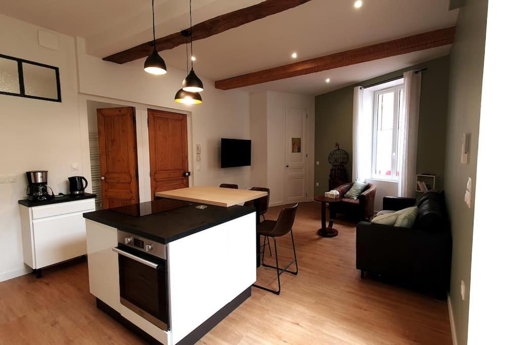 Classe 4 Etoiles - Cybele - Centre Ville 2 Chambres, Cour Privative Et Garage Vienne  Zewnętrze zdjęcie