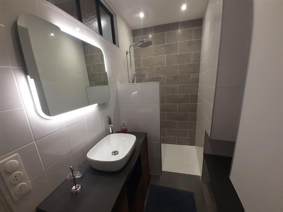 Classe 4 Etoiles - Cybele - Centre Ville 2 Chambres, Cour Privative Et Garage Vienne  Zewnętrze zdjęcie